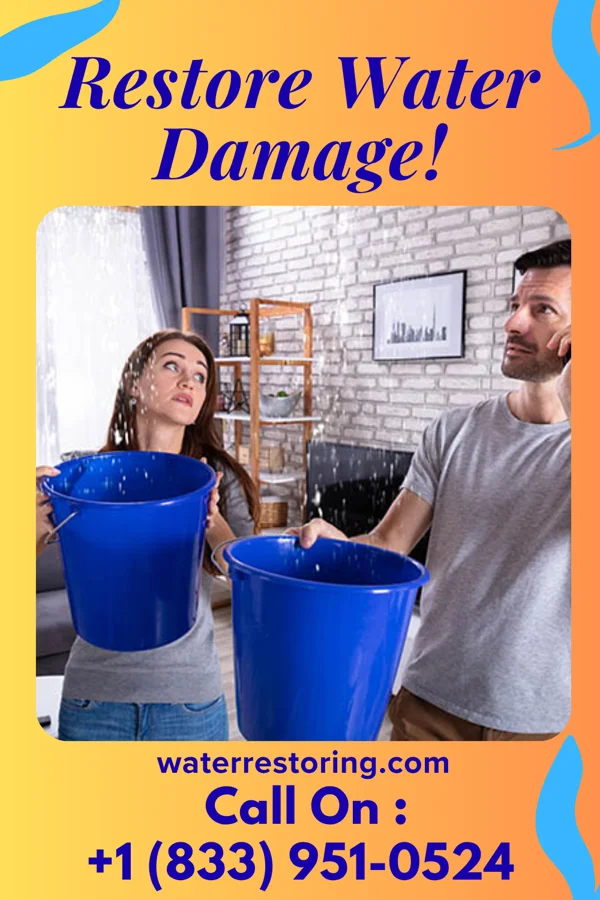 water restoration First Disaster Cleanup Professionals Beaverdale